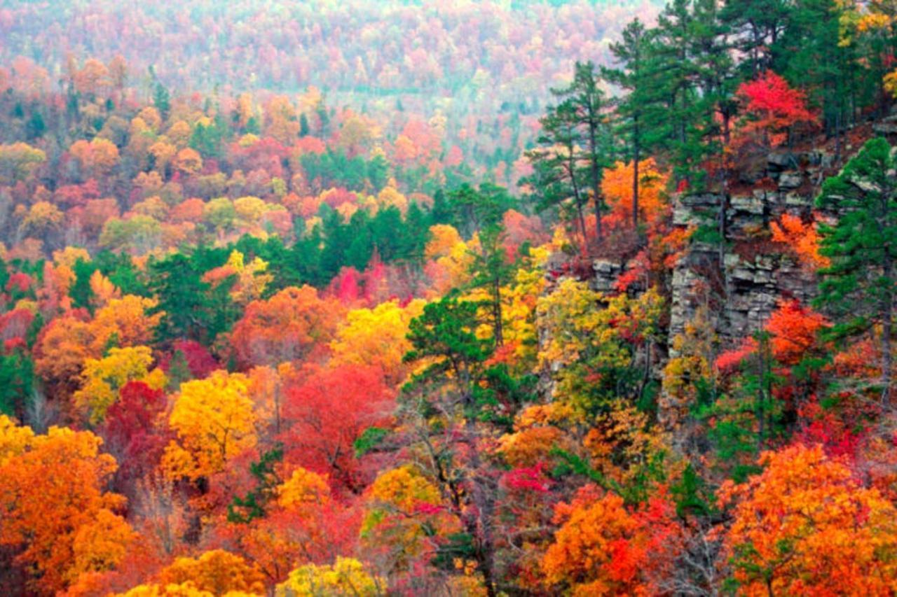 Lake Lucerne - Treehouse Cabin #01 Eureka Springs Exterior foto